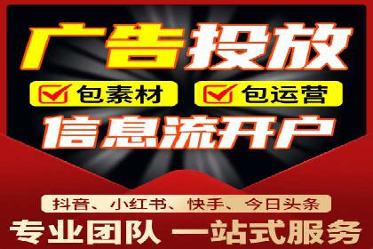 SEM广告案例：数据分析驱动营销决策