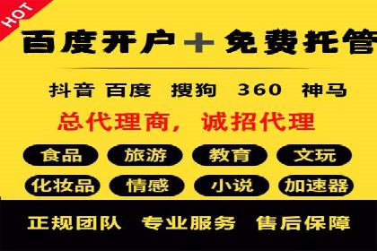 某知名品牌SEM运营策略及效果评估